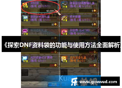 《探索DNF资料袋的功能与使用方法全面解析》