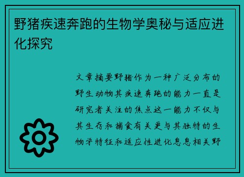 野猪疾速奔跑的生物学奥秘与适应进化探究